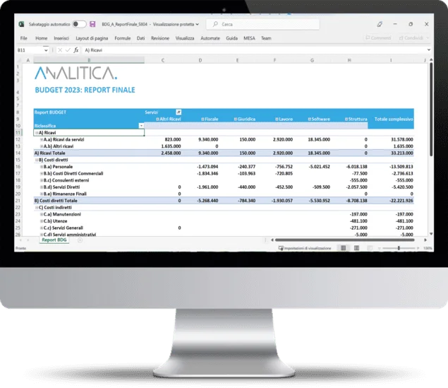 ANALITICA's financial planning model